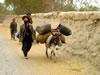 Man Walking next to Donkey